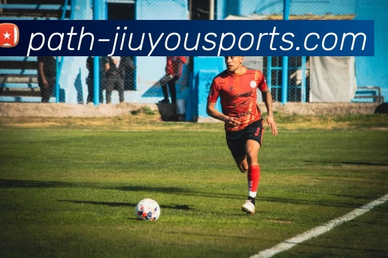 JIUYOU平台生态图